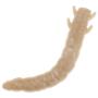 Приманка силиконовая Soorex Pro King Worm 42мм Cheese #401 Pearl